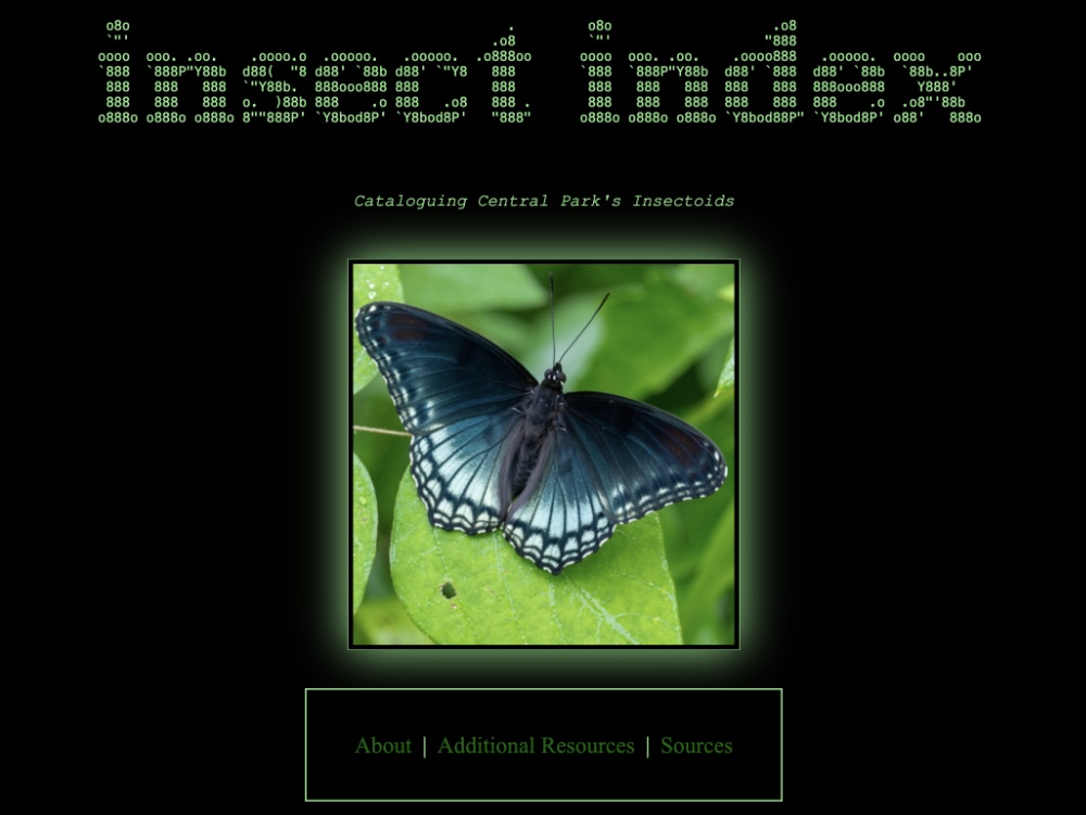 Insect Index educational site